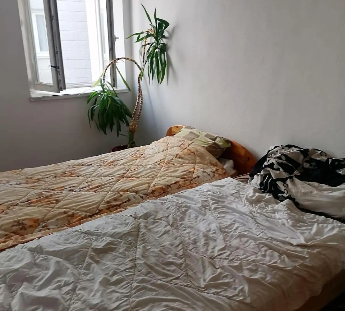 Partytypen Apartment Rosenheim Homestay