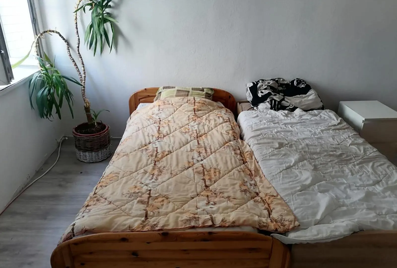Homestay Partytypen Apartment Rosenheim